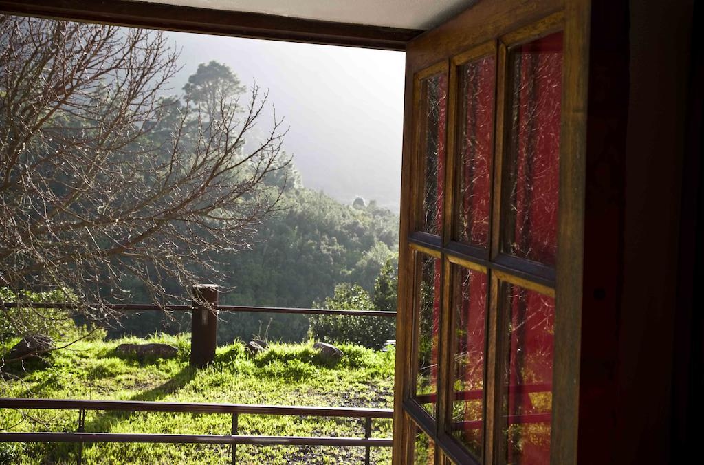 Albergue De Bolico Masca Værelse billede